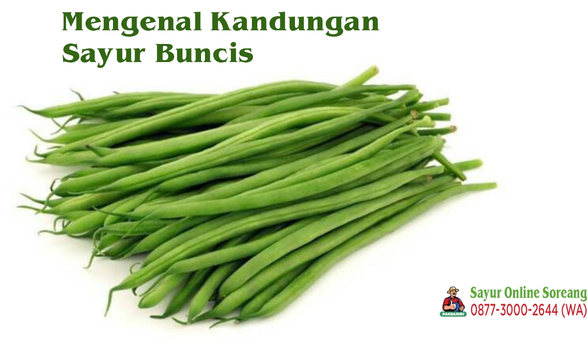 Mengenal Kandungan Sayur Buncis