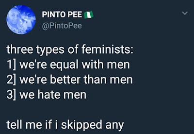 MAN ON TWITTER LISTS THREE TYPES OF FEMINISTS