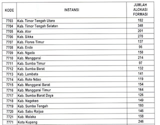 Formasi CPNS Bali, NTT, dan NTB tahun 2019