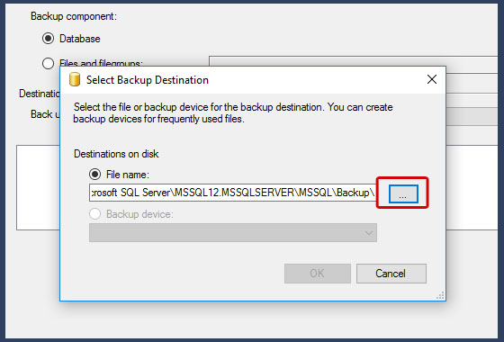 Cara Backup dan Restore Database SQL Server