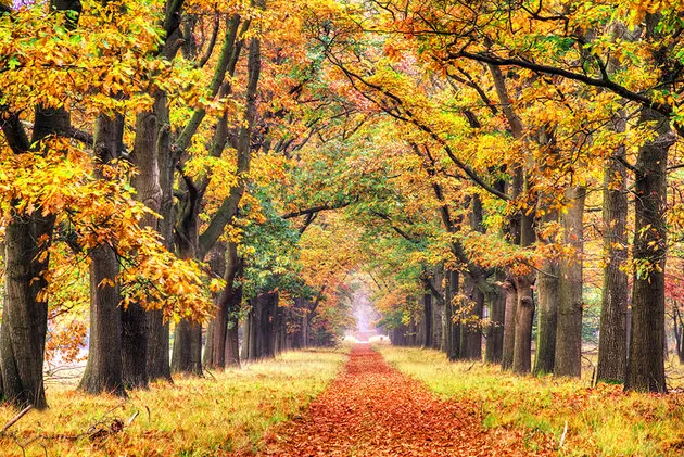 Hoge Veluwe National Park