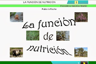 http://cplosangeles.juntaextremadura.net/web/edilim/curso_3/cmedio/los_seres_vivos_3/la_nutricion/la_nutricion.html