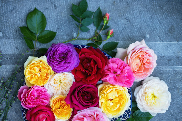 Розите на Дейвид Остин могат да се купят и в България