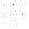 Bikini Line Wax Meaning