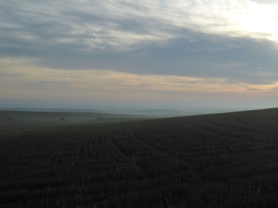 Meseta, Camino, Jola Stępień