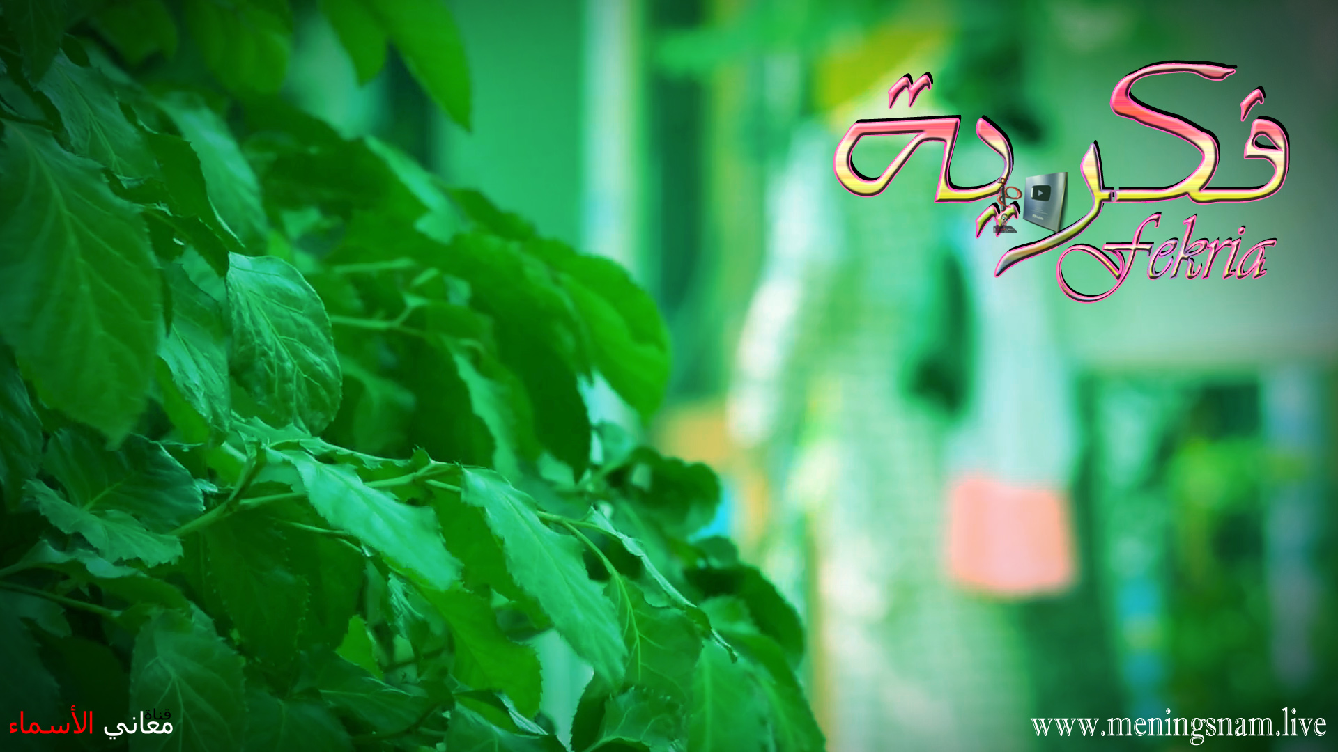 معنى اسم, فكرية, وصفات حاملة, هذا الاسم, Fekria,