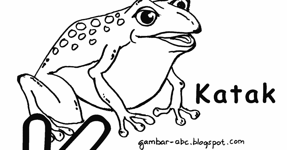  Mewarnai  Huruf K Gambar  Katak  Contoh Gambar  Mewarnai 