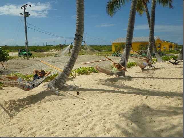 anegada p 020
