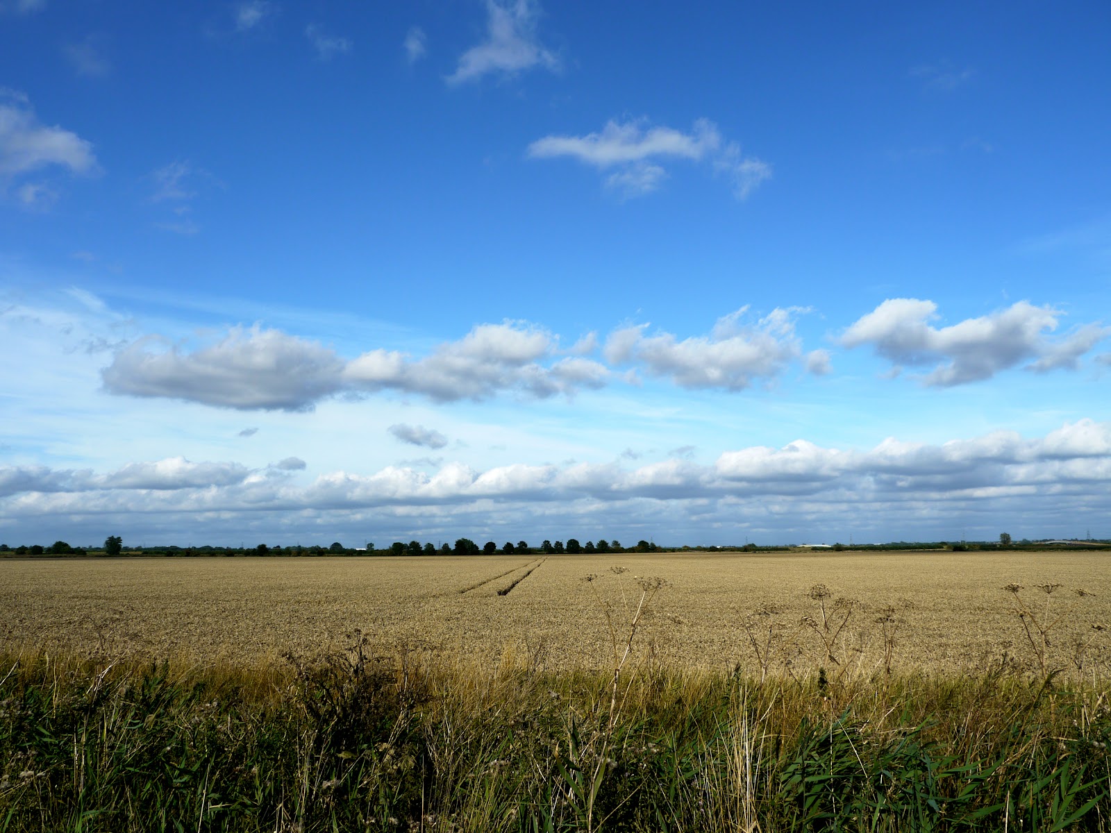 P1160116 copy.jpg