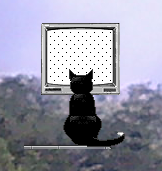 kucing nonton tv