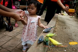 Langkawi Wildlife Park