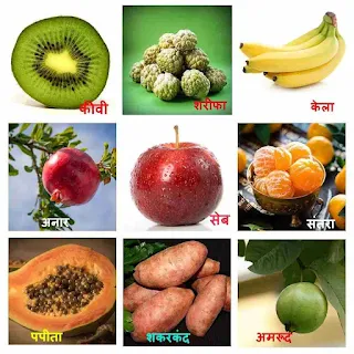सर्दी में खाए जाने वाले 10 फलों के नाम और इनके फायदे | winter fruit names in hindi