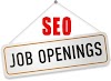 Urgent Job opening For SEO Expert In Delhi Location
