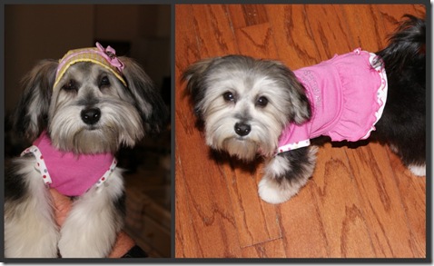 Elle's gift from Maddie collage