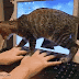 Así de dificil es trabajar en casa teniendo gatos