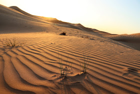 Evening Desert Safari and Sunset in #Dubai #UAE #Youtube #TheLifesWayCaptures