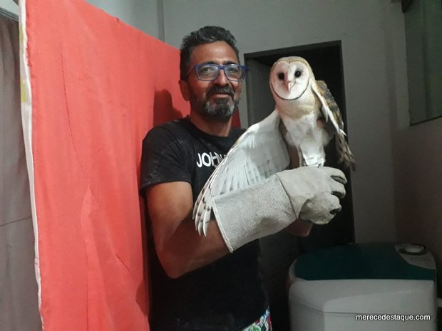 Coruja é resgatada dentro de banheiro de residência e devolvida à natureza, em Santa Cruz do Capibaribe