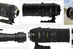 Sigma 150-500mm F5-6.3 APO DG OS HSM 