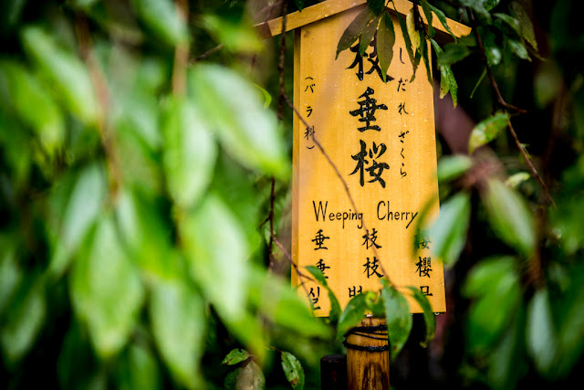 Tenryuji :: Canon EOS5D MkIII | ISO400 | Canon 24-105@95mm | f/4.0 | 1/60s