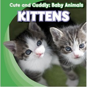 bookcover of Kittens by Grace Elora