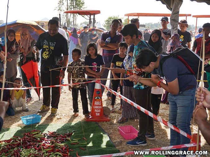 Pesta Angin Timur Perlis