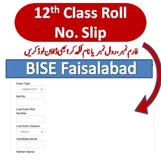 2nd year roll number slip 2023 fsd board