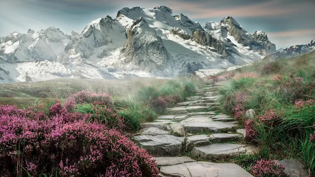 apel de parede grátis HD Natureza Caminho para as Montanhas para PC, Notebook, iPhone, Android e Tablet.