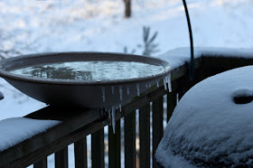 a dripping, freezing birdbath