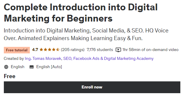 Complete Introduction into Digital Marketing for Beginners