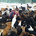 Man Takes Care of Over 750 Dogs