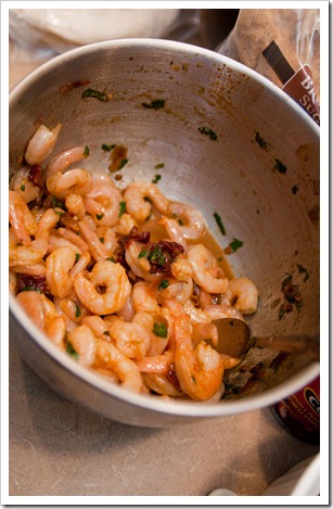 cilantrolimeshrimp9