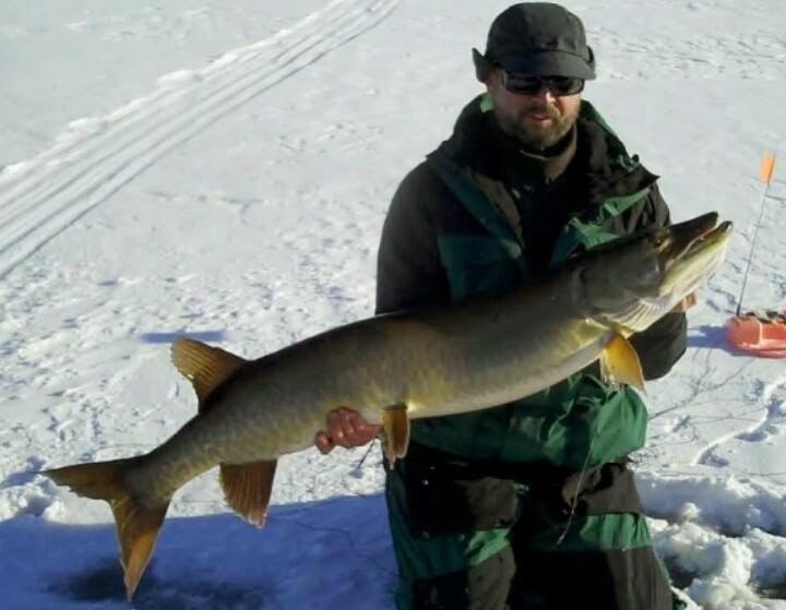 Litton's Fishing Lines: 49 1/2 Inch Musky Lake Hopatcong; Ice Fishing  Opportunities Now Include Round Valley
