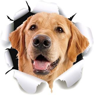 Cute Pet Stickers