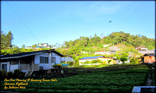 Marina Chalet and Homestay, Kampung Taman Sedia, Tanah Rata, Brinchang, Cameron Highlands,http://marinachalet.blogspot.com/