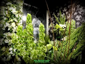 EXPOFLORA Holambra / SP