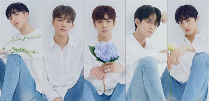 CIX BOYZ PROFILE 