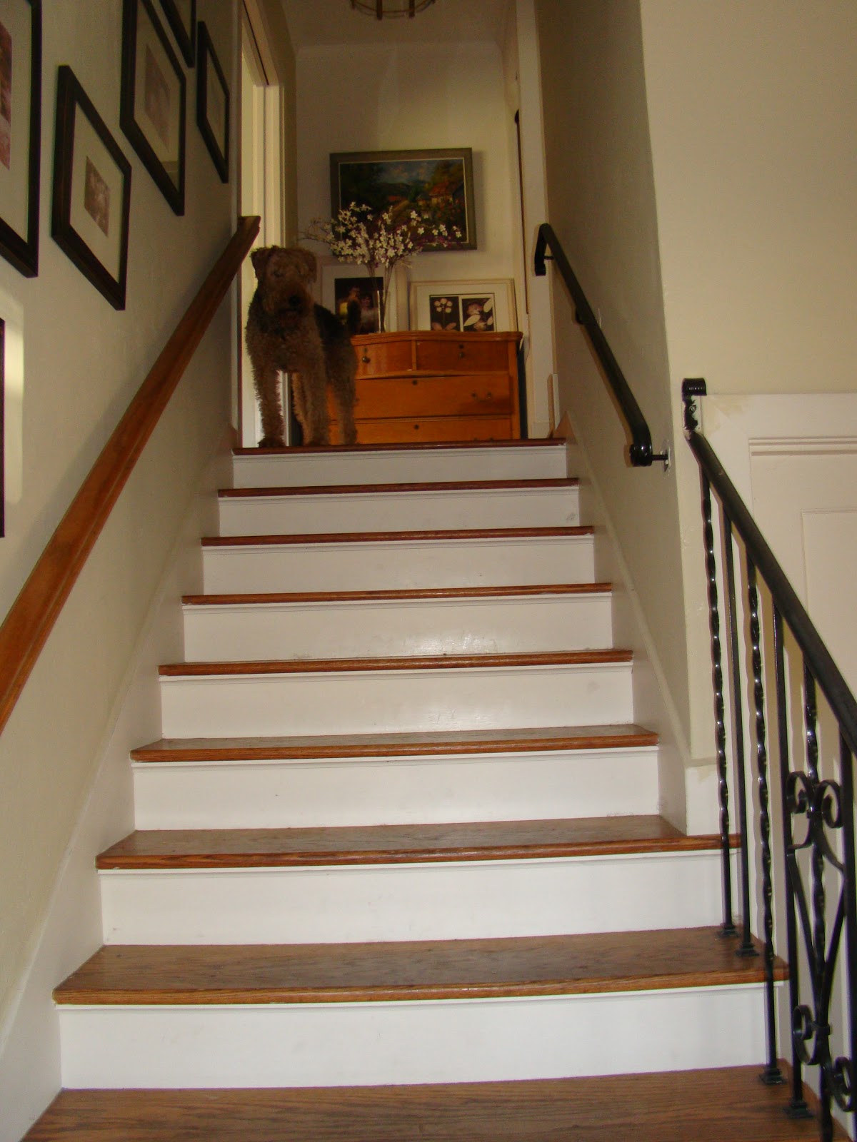 Barnaclebutt: Wallpapered Stair Risers