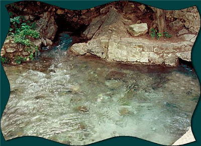 Comal Springs