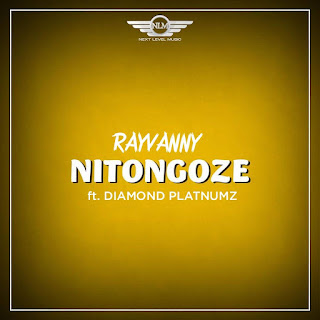 VIDEO | Rayvanny Ft. Diamond Platnumz - Nitongoze (Mp4 Video Download)