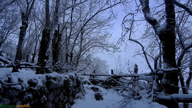 Ruta invernal por los cordales occidentales de la Sierra del Aramo; Peña del Alba, Champaza, Pelitrón y Vallonga.