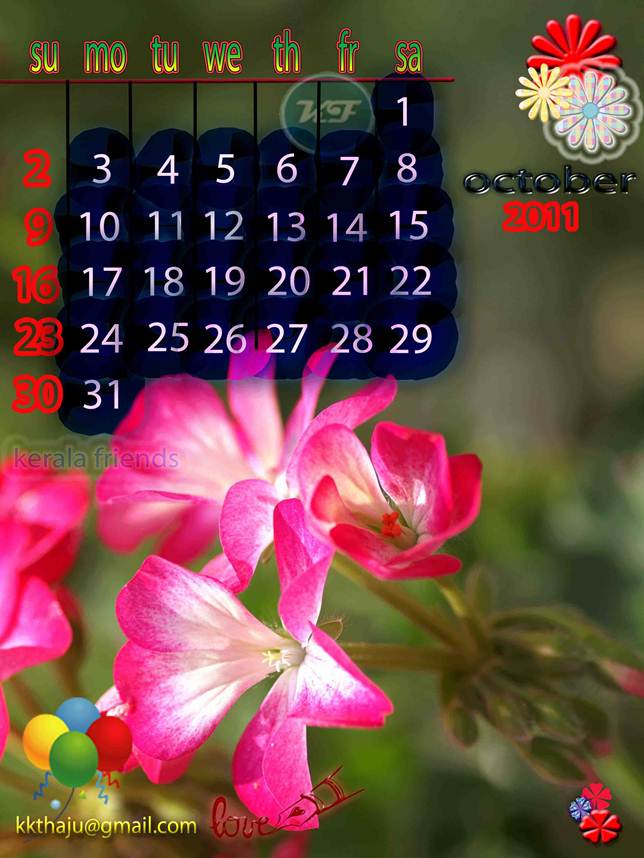 Calendar 2011