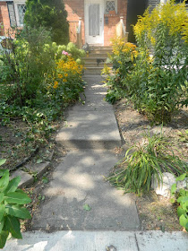 Deer Park summer garden cleanup after by Paul Jung Gardening Services Toronto