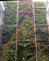 Tukang taman Vertical garden Bekasi Murah dan bergaransi