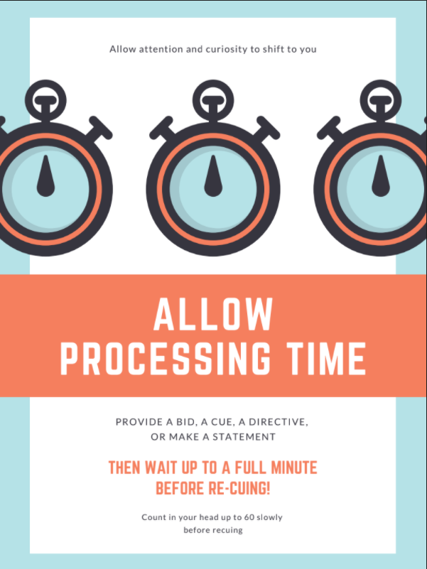 Episode #27: Allowing Processing Time