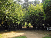 tumuli park gyeongju