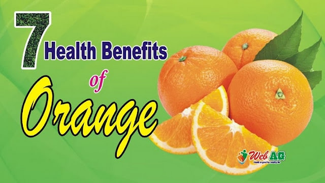 7 Health Benefits of Orange | Orange Benefits