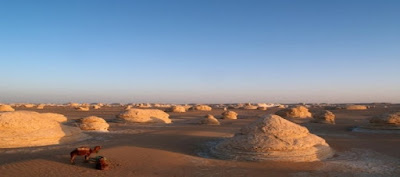 bahariya oasis 