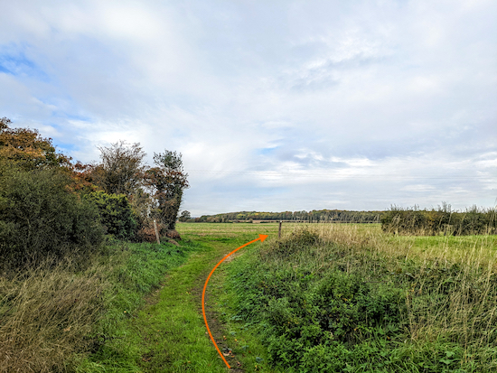 Keep right, still on Bramfield footpath 8