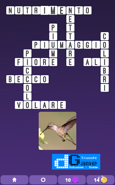 Soluzioni One Clue Crossword livello 2 schema 14 (Cruciverba illustrato)  | Parole e foto