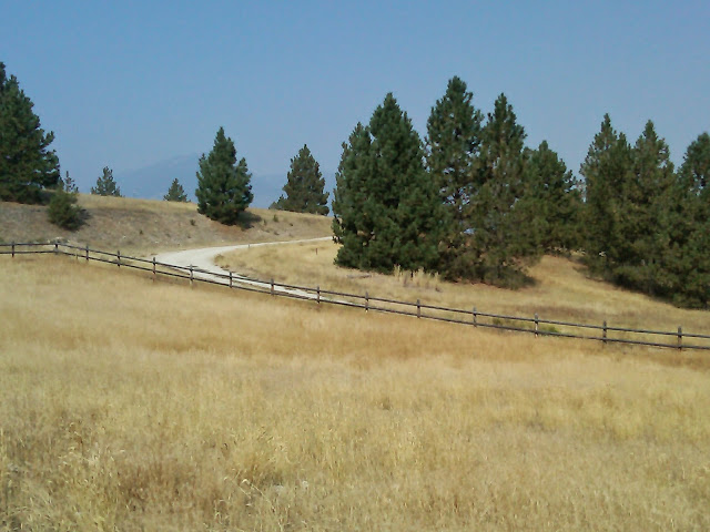 The view from the field, up the driveway